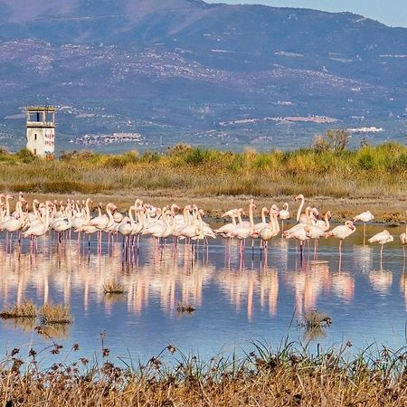 Flamingo View Suites & Villas ネア・ポティダイア エクステリア 写真